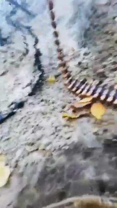 This is how the UA forces liberated the Kherson region. The assault footage from the first person