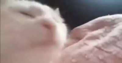 Meme I made in 15 minutes