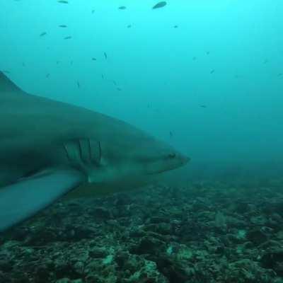Went for a swim, had a friend come over and say hello