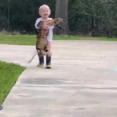 Don't help the poor cat.