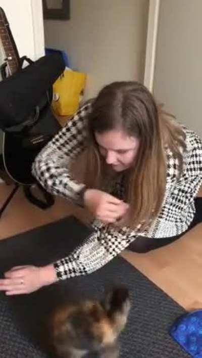 I learned my sweet poppy to stand, pirouette and jump. She ofcourse gets cuddles and candy afterwards