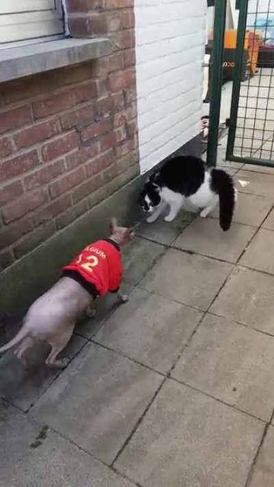 Excellent shirt, by the way...