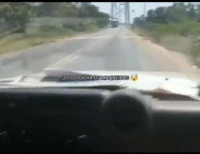 MAAAAASSSQUEEEEEEIIICOOOOOOO