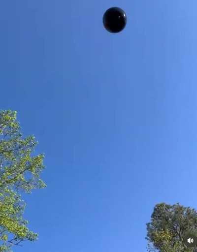 to reveal baby gender.