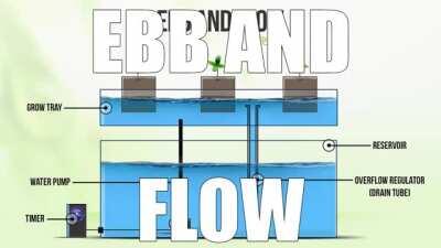 Posting a meme or memes of every Pink Floyd song in chronological order [Day 148: Ebb And Flow]