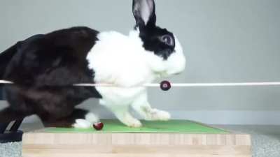 made you laugh huhhhh?