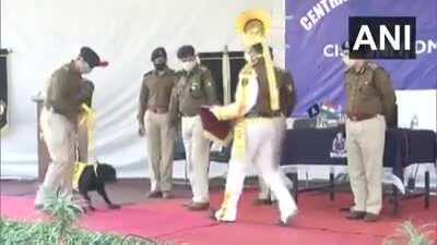 India's CISF's eight canine members officially retired from duty today after 10 yrs of service during which they conducted anti-sabotage checks, participated in mock drills & anti-terror sweeping exercises at Delhi Metro.