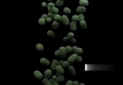 И пусть весь мир пососет