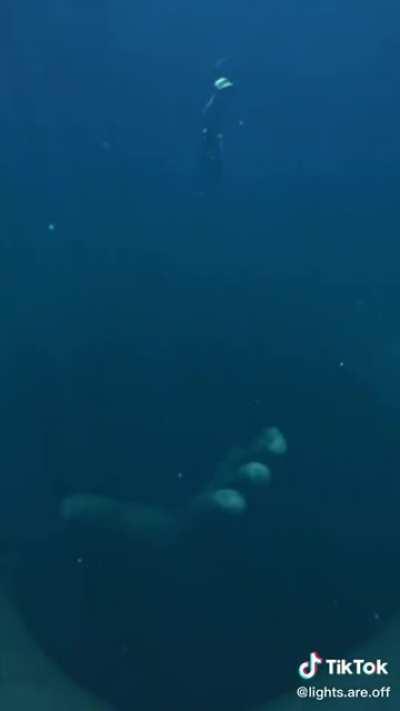 Horror CGI. New Nightmare Material.