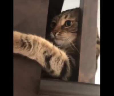 Sticking it's head through two bars