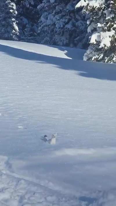 wunk thinks everything is a fucking game