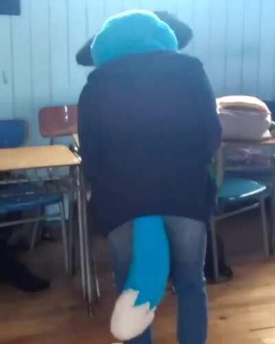 Los furros en clases