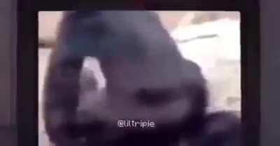 Que alguien me ayuda,acabo de instalar Reddit y no se que hacer