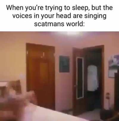 Scatmans world