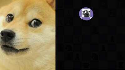 How Hikaru sees the board VS how I see the board...