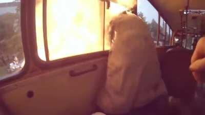 Vídeo curioso que me encontré xd #1