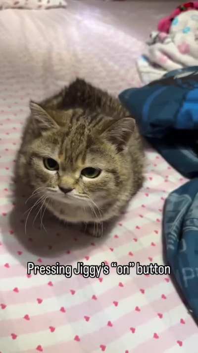 Nuclear armageddon button wunkus