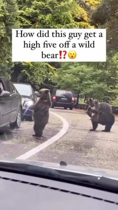 Incredibly surprising, a bear actually gave this guy a high five!