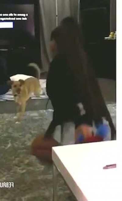 I wanna pound that pussy so hard