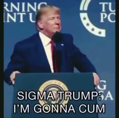 The grind is immaculate.