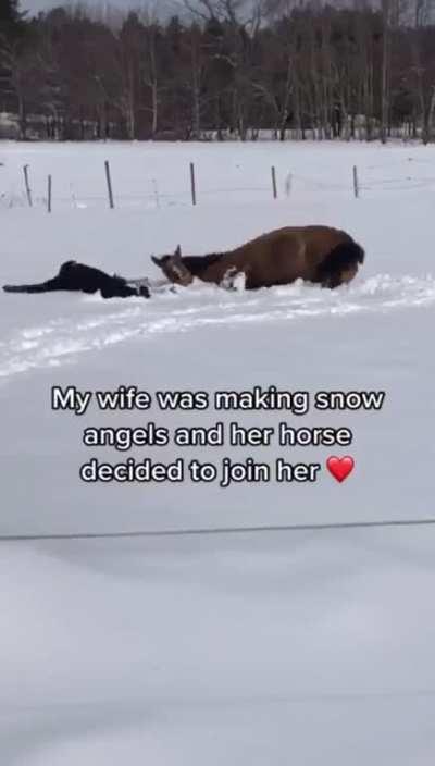 How lovely to have a buddy like this Horse!