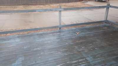 He ran too fast to stop