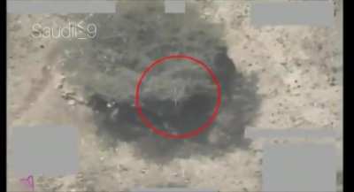 Saudi Air Force targets Houthis position under a tree in Yemen (unknown date)