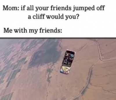 Мама: если всё с крыши прыгнут, ты тоже прыгнешь? Я: