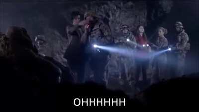 Dr. DFV and the Weeping Hedgies