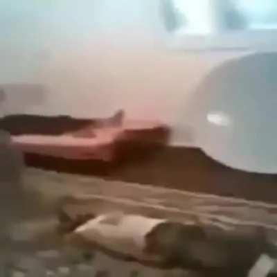 PedroDBR - Video #0116