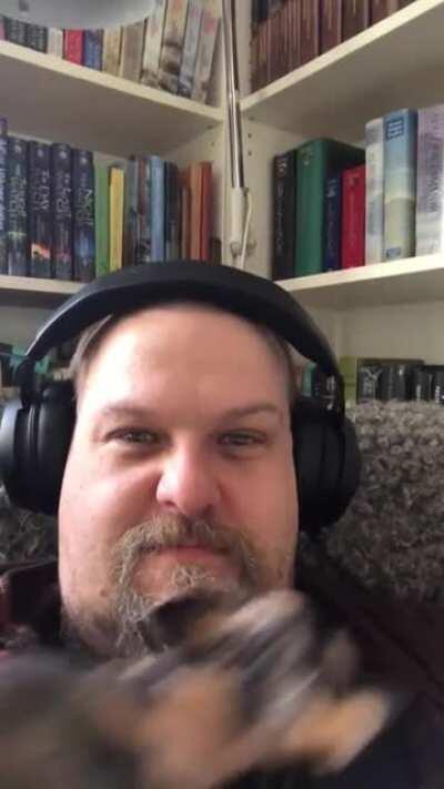 Get a cat they said...