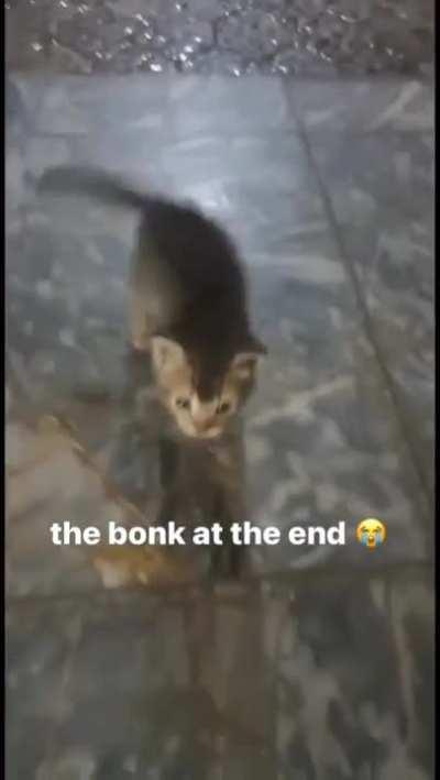 Idk if I stole this from here or not but um, rule. 