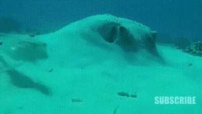 pov, going back to the walk-in