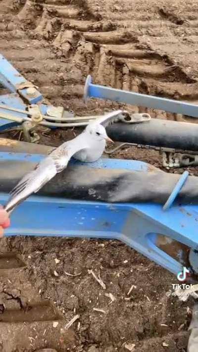 Lil homie got grounded