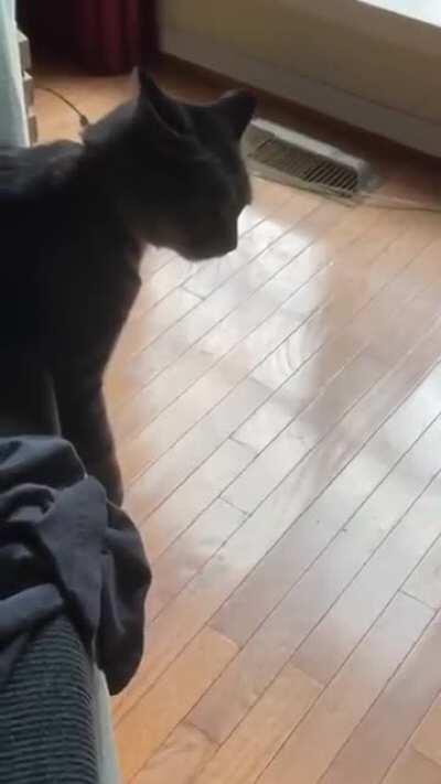 Sink into the cushions