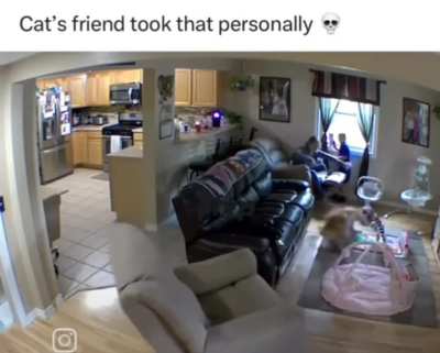 Nice Job At Not Overreacting