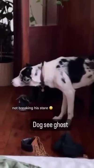 It's like seeing or hearing something.