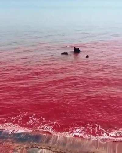 Kinda looks like EoE