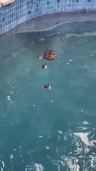 There’s always one in every family