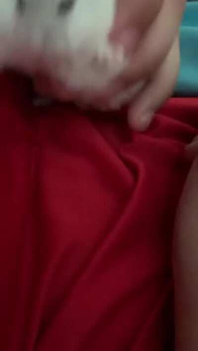 Christmas cuddles with Chubber Butt