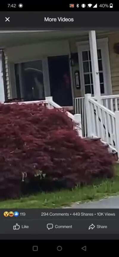 Guess she had a fiery temperament