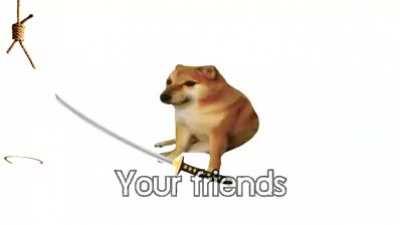 Cheems tells you how important life is (Emotional)