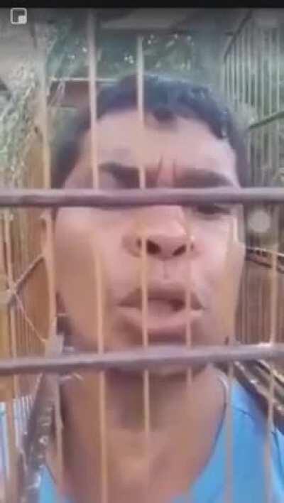 ah, o canto dos pássaros...