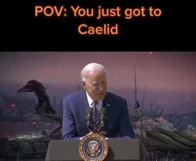 My first time in Caelid