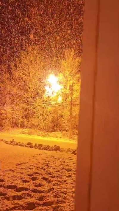 Power line sparking next to this tree in heavy snow creating an amazing show