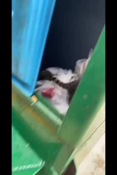 What are you all doing in there?