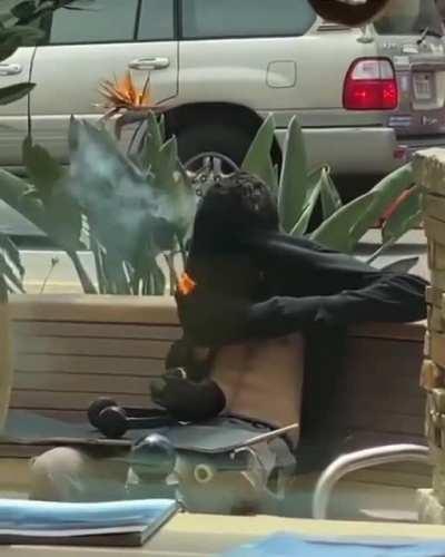 Quite the genius here...