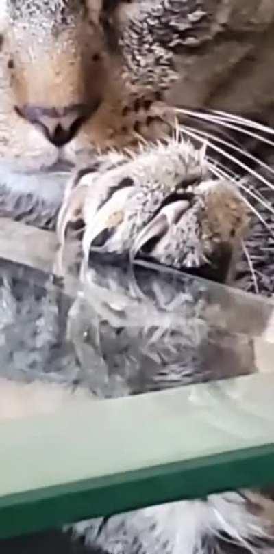 Making sure nobody gets out of line