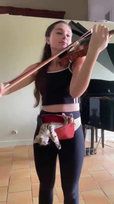 Playing with a kitten and she slept.