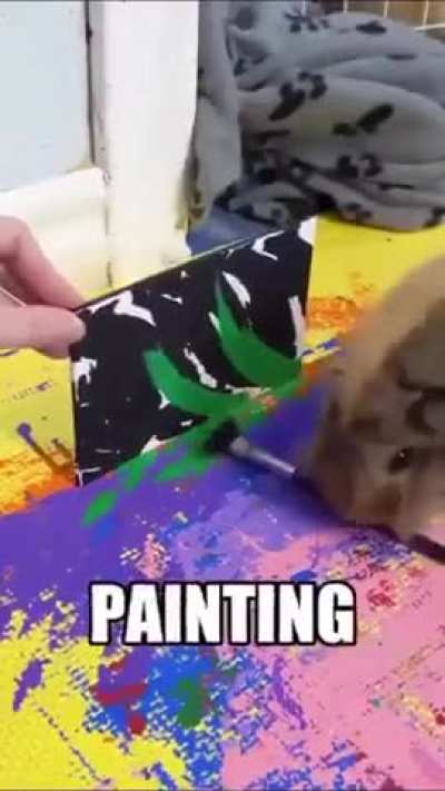 Why people who make AI 